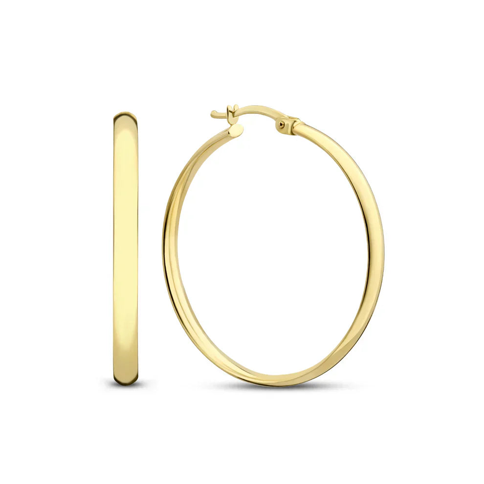 Nala | Elegant Gold Earrings